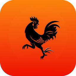 video đá gà cựa sắt